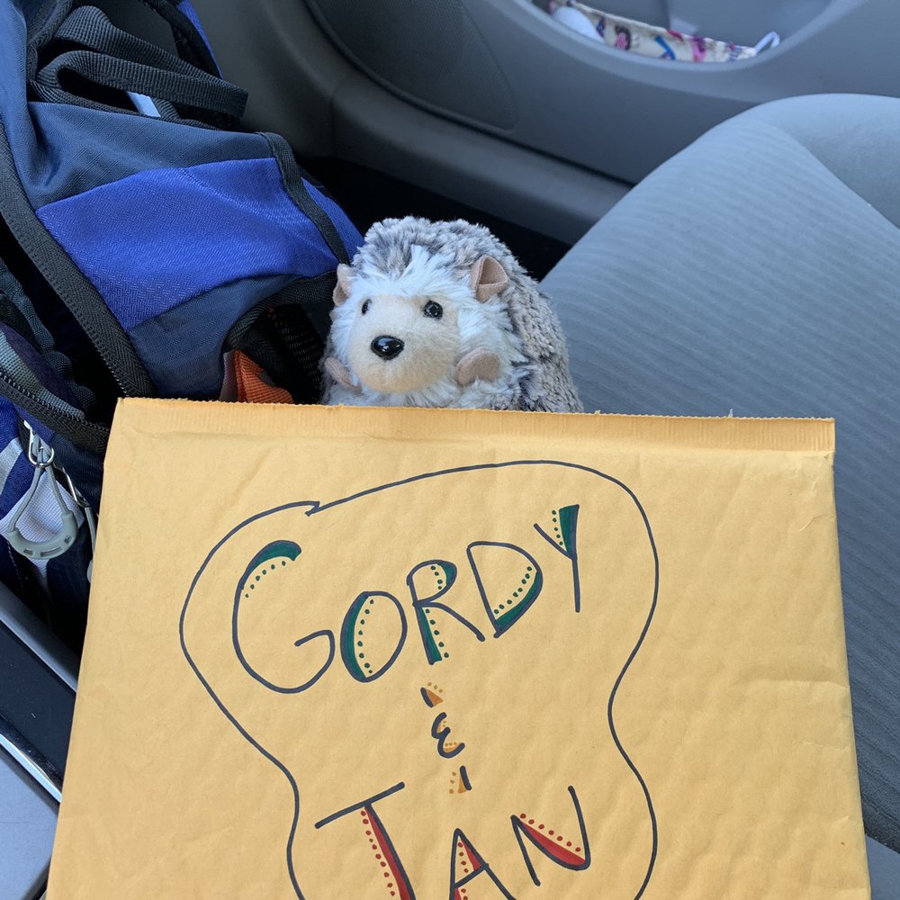 Nason Creek Rest Area - Hedgy the Hedgehog and I back in the car ready to make a delivery of masks my mom hand made to my aunt and uncle in Cashmere! - Rest Stops Near Me Nason Creek Rest Area - Hedgy the Hedgehog and I back in the car ready to make a delivery of masks my mom hand made to my aunt and uncle in Cashmere! - Rest Stops Near Me