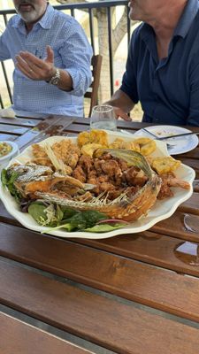 Brutus Land and Sea by null