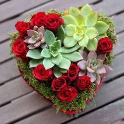 Blooms on 9th - Romance roses and keepsake succulents in a heart box for Valentines Day