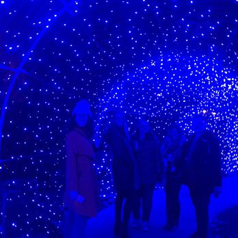Winterlights at Newfields - Festivals Near Me - Indianapolis, Indiana