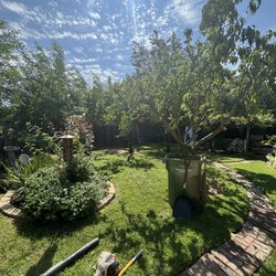A & J Tree Care - Recent fruit tree trims