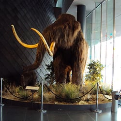 Au temps des Mammouths - Espace des Sciences - Le mammouth et son petit dans le hall d'entrée des Champs Libres