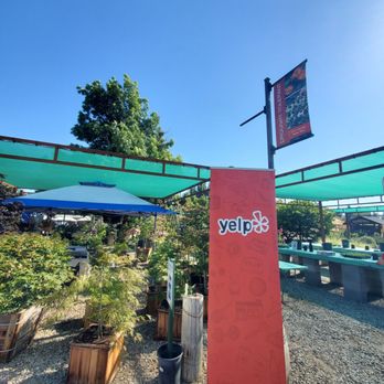 Belmont Nursery - Nurseries & Gardening Near Me - Fresno, California Belmont Nursery - Nurseries & Gardening Near Me - Fresno, California