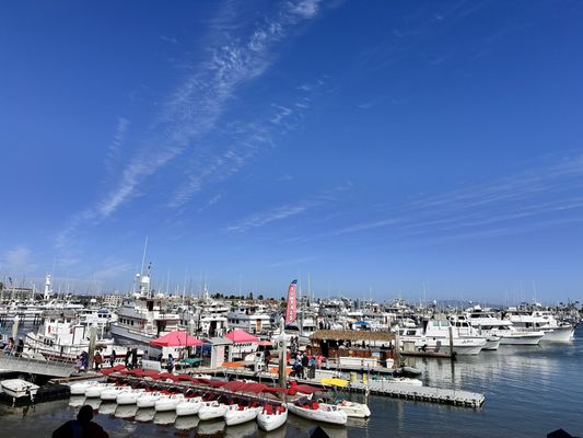 Point Loma Seafoods by null