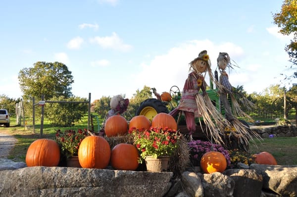 Shelburne Farm by null