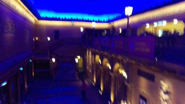 Forum Melbourne by null