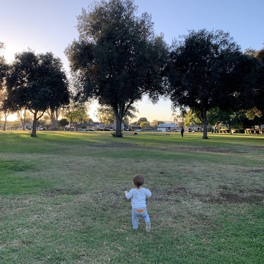 Los Altos Park - Lots of open grassy areas and trees good for slacklining - Parks Near Me - Long Beach, California Los Altos Park - Lots of open grassy areas and trees good for slacklining - Parks Near Me - Long Beach, California