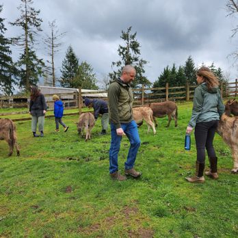 Tollen Farm - Visitors loving on the donkeys - Home & Garden Near Me - Wilsonville, Oregon Tollen Farm - Visitors loving on the donkeys - Home & Garden Near Me - Wilsonville, Oregon