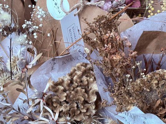 Stonefruit Espresso + Kitchen by null