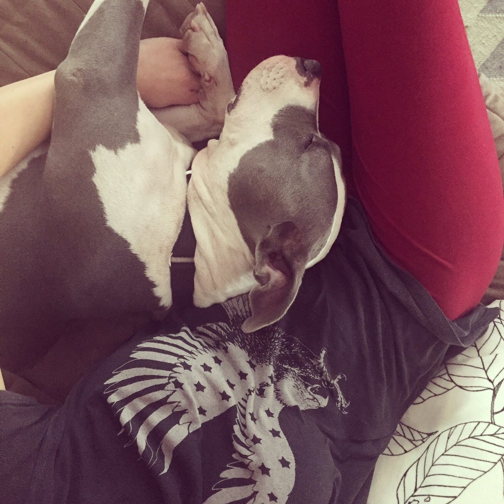 The Zen Dog - Relationships are hard work but I wouldn't trade ours for anything in the world! #besties - Pet Training Near Me The Zen Dog - Relationships are hard work but I wouldn't trade ours for anything in the world! #besties - Pet Training Near Me