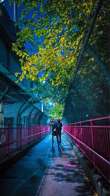 Williamsburg Bridge by null
