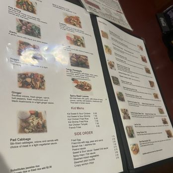 Rice Asian Grill & Sushi Bar - Asian Fusion Near Me - Mobile, Alabama