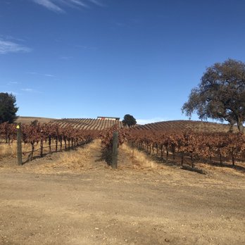 Rasmussen Vineyards & Winery - rows of grape vines - Wine Tasting Room Near Me - Paso Robles, California Rasmussen Vineyards & Winery - rows of grape vines - Wine Tasting Room Near Me - Paso Robles, California