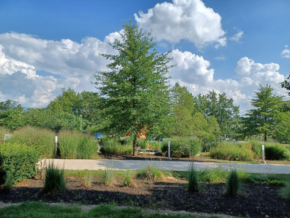Social spots from The Westmoreland Museum of American Art