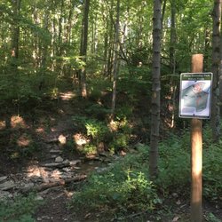 Pierce Township Park - There are several miles of hiking trails. Well marked with signs and diamonds painted on trees, however a bit overgrown in places.
