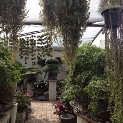 Floral Emporium - Beautiful