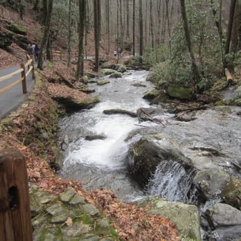 Anna Ruby Falls - Hiking Near Me - White, Georgia Anna Ruby Falls - Hiking Near Me - White, Georgia