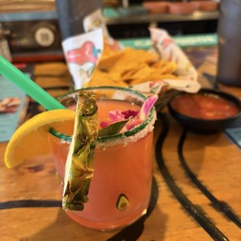 Chapala Mexican Restaurant - Strawberry margarita - Tacos Near Me - Ann Arbor, Michigan Chapala Mexican Restaurant - Strawberry margarita - Tacos Near Me - Ann Arbor, Michigan