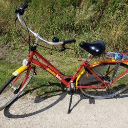 AmsterBike - Bicycle used on the tour