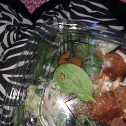Lady bug in salad, called them and told them and all they said was "we probably just didn't pick through the moldy spinach"