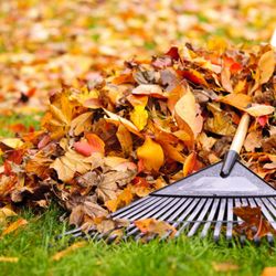 Mitchell's Landing & Irrigation - Leaf Removal Services