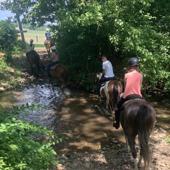 Jordan Hollow Stables - Horseback Riding Near Me - Stanley, Virginia Jordan Hollow Stables - Horseback Riding Near Me - Stanley, Virginia