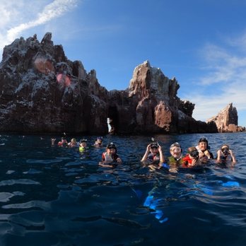 La Paz VIP Tours - Snorkeling Near Me - La Paz, BCS La Paz VIP Tours - Snorkeling Near Me - La Paz, BCS