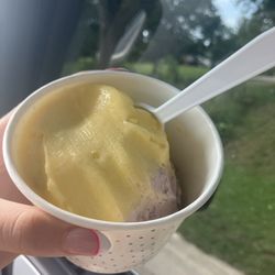 Carol's Original Dairy Treat - The purple scoop on bottom is the raspberry brownie (amazing) and the one on top is the pineapple dole (also amazing)