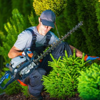 MAM Landscaping - a man trimming bushes - Landscaping Near Me MAM Landscaping - a man trimming bushes - Landscaping Near Me