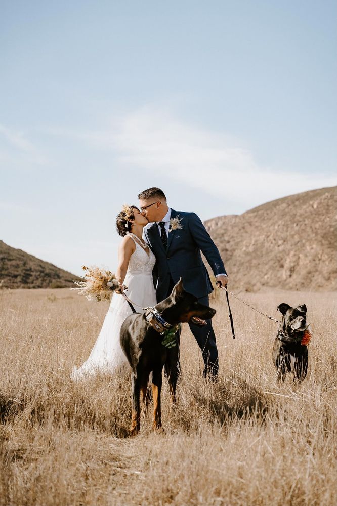 BACKBONE FLORAL Updated July 2024 344 Photos & 18 Reviews 910