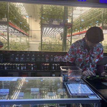Exhalence LA - Cannabis Dispensaries Near Me - Los Angeles, California
