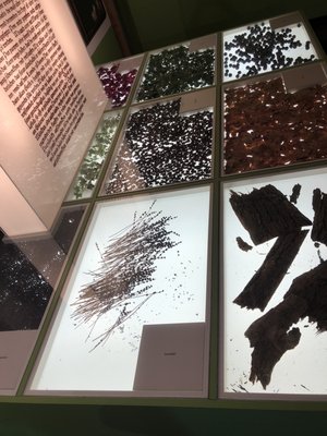 Deutsches Hopfenmuseum by null