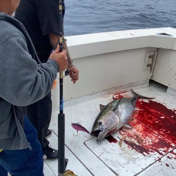 Breakaway Sportfishing photo 5