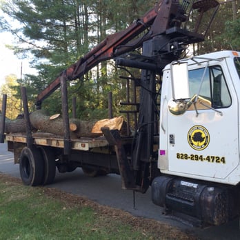 Absolute Tree Care - a truck hauling a tree - Tree Services Near Me - Vale, North Carolina Absolute Tree Care - a truck hauling a tree - Tree Services Near Me - Vale, North Carolina
