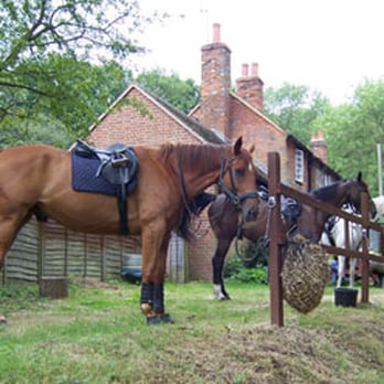 The Dew Drop Inn - Pubs Near Me - Maidenhead, WNM