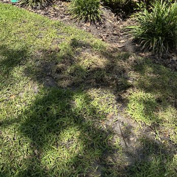 Irrigation King's Landscaping Services - Irrigation Near Me Irrigation King's Landscaping Services - Irrigation Near Me