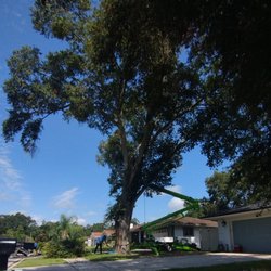 M & S Tree Service - Lift it is