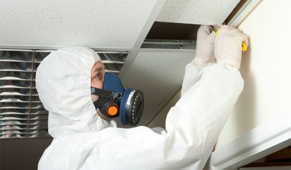 Nealco Inspectional services - mold inspector in Quincy, MA