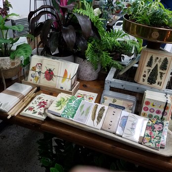 Grounded Plant & Floral - stationery - Nurseries & Gardening Near Me - Indianapolis, Indiana