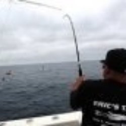Eric's Tackle Shop - SoCal Striped Marlin