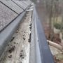 Photo of Lake State Cleaning