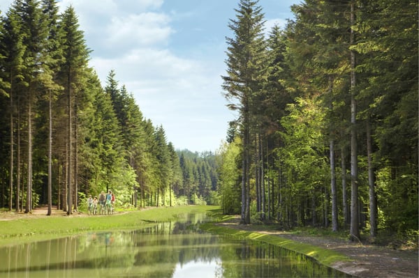 Center Parcs Les Trois Forêts by null