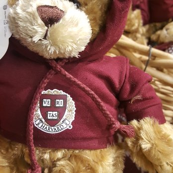 The Harvard Coop Bookstore - 9/22/2019 - Super cute Harvard offerings... - Bookstores Near Me - Cambridge, Massachusetts The Harvard Coop Bookstore - 9/22/2019 - Super cute Harvard offerings... - Bookstores Near Me - Cambridge, Massachusetts