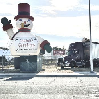 Lamb's Christmas Trees, Fairfieid - Christmas Trees Near Me - Fairfield, California Lamb's Christmas Trees, Fairfieid - Christmas Trees Near Me - Fairfield, California