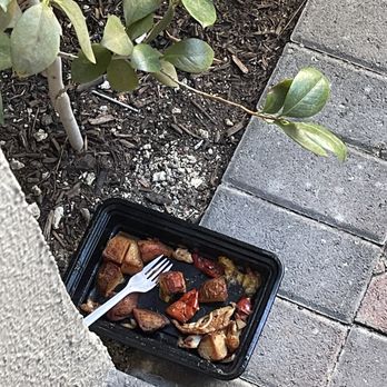 Catered Fit - half eaten container of food left in the middle of the night by delivery person? - Food Delivery Services Near Me