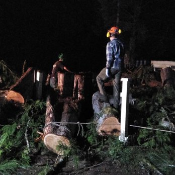 Tree Bargain Service - Tree Services Near Me - Anacortes, Washington Tree Bargain Service - Tree Services Near Me - Anacortes, Washington