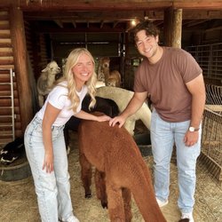 Alpacas Of The Heartland