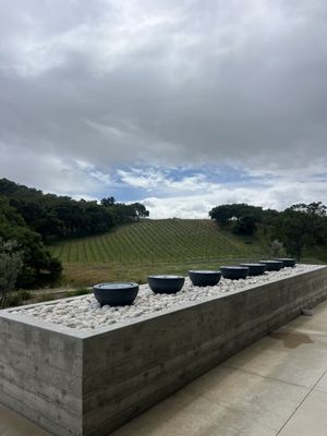 Caelesta Wines, Vineyard & Truffière by null