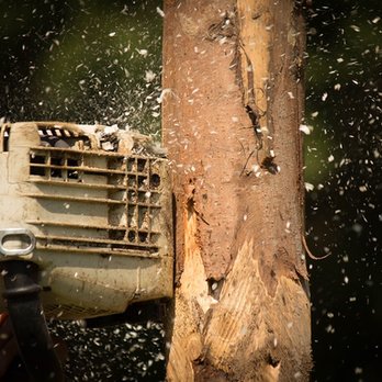 Mid-West Tree Service - untitled - Landscaping Near Me - Wauconda, Illinois
