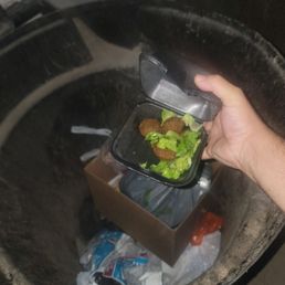 Sad to call this bitter spoiled falafel food. This is where it belongs... Sad to call this bitter spoiled falafel food. This is where it belongs...